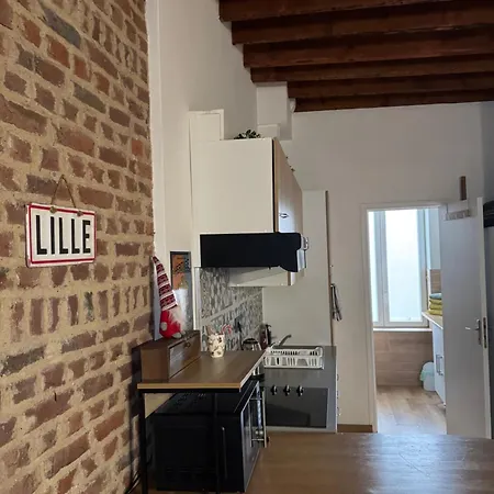 L'Ile Aux Ch'Tis Apartment Lille Exterior photo